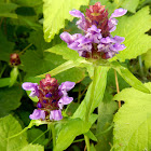 Self-Heal