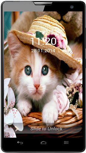 Cat Screen Lock