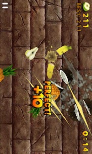 download Fruit Slice free