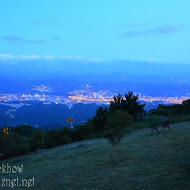 星城行動咖啡車