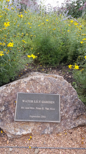 Van Nice Water Lily Garden