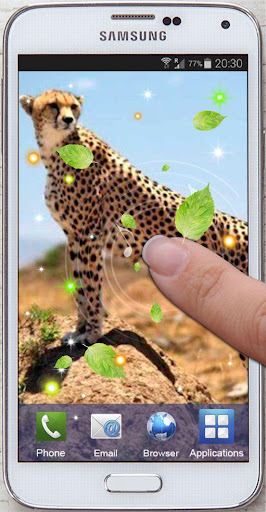 【免費個人化App】Gepard Racing live Wallpaper-APP點子