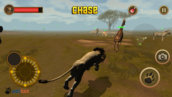 download Lion Chase free