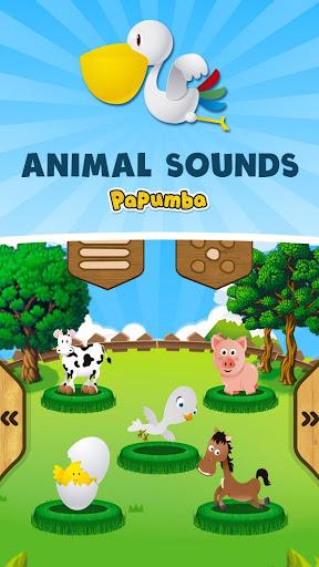 Animal Sounds