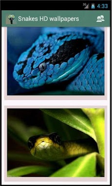 ヘビのhdの壁紙 Androidアプリ Applion