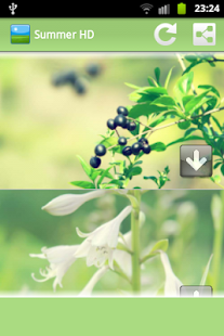 How to download Summer HD Wallpapers lastet apk for android