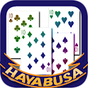 HAYABUSA Ten logo