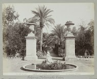 N. 198 Palermo, Orto Botanico - Dettaglio