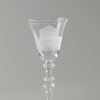 Wine Glass with Views of the Schravenhagen and Alida Plantations