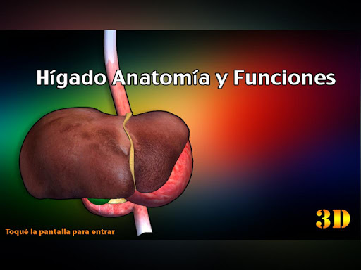 Hígado Anatomía y Funciones