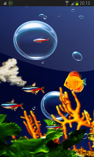 免費下載個人化APP|Aquarium 3D Neon Fish HD LWP app開箱文|APP開箱王