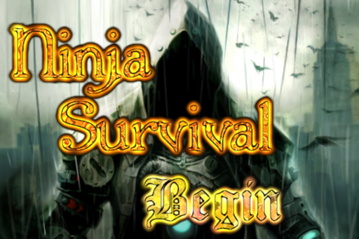 Ninja Survival