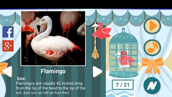 How to get Best Bird Sounds 1.6 unlimited apk for laptop