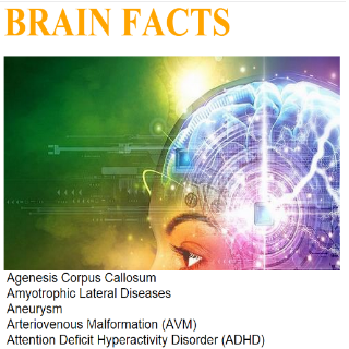 Easy Brain Facts