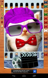 Download Dress Up My Pet APK for PC