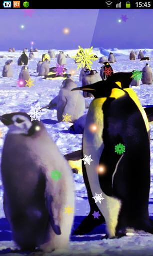 免費下載個人化APP|Crazy Penguins Frozen Xmas HD app開箱文|APP開箱王