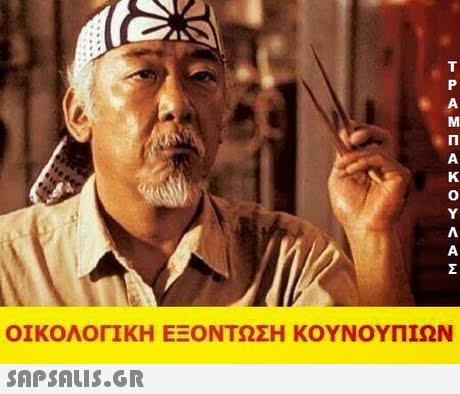 0 ΟΙΚΟΛΟΓΙΚΗ ΕΞΟΝΤΩΣΗ ΚΟΥΝΟΥΠΙΩΝ 