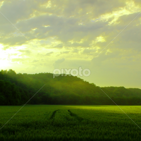 Morning  by Barak Johnson - Landscapes Mountains & Hills