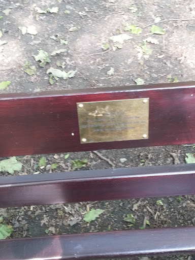 Anne Flynn Memorial Bench