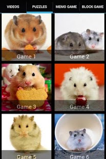 Cute Pet Hamster Free Games