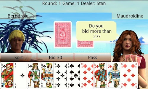 Android application Skatroid - Skat screenshort