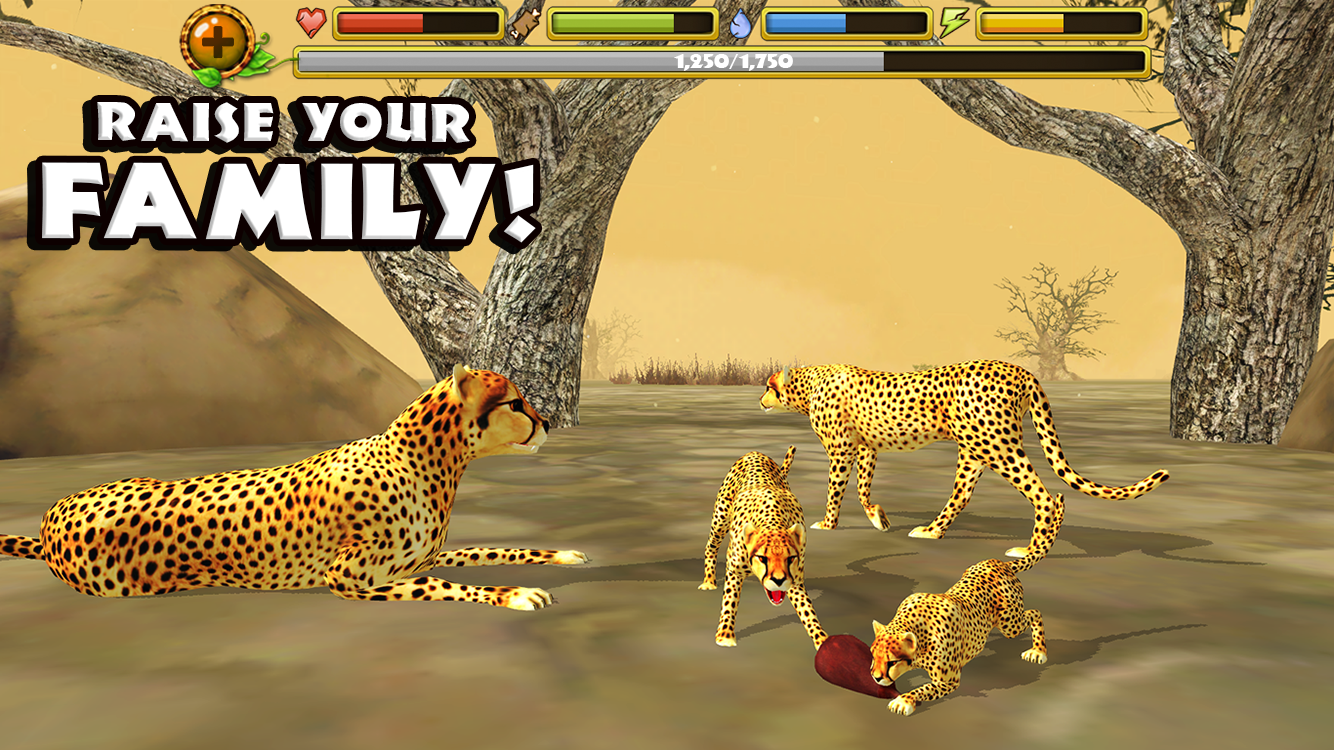 Cheetah-Simulator