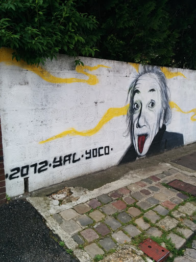 Albert Einstein - 2012 Yal Yoco