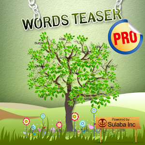 Word Teaser Pro - BrainTeasers