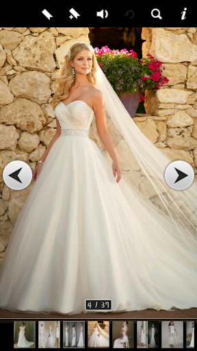 Wedding Dress Ideas