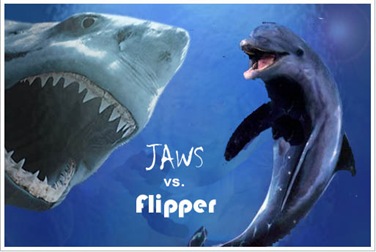 flipper