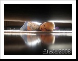 20080917-deavan.under.loveseat-083