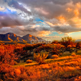 Catalina Shadows by Scott Taft - Landscapes Mountains & Hills