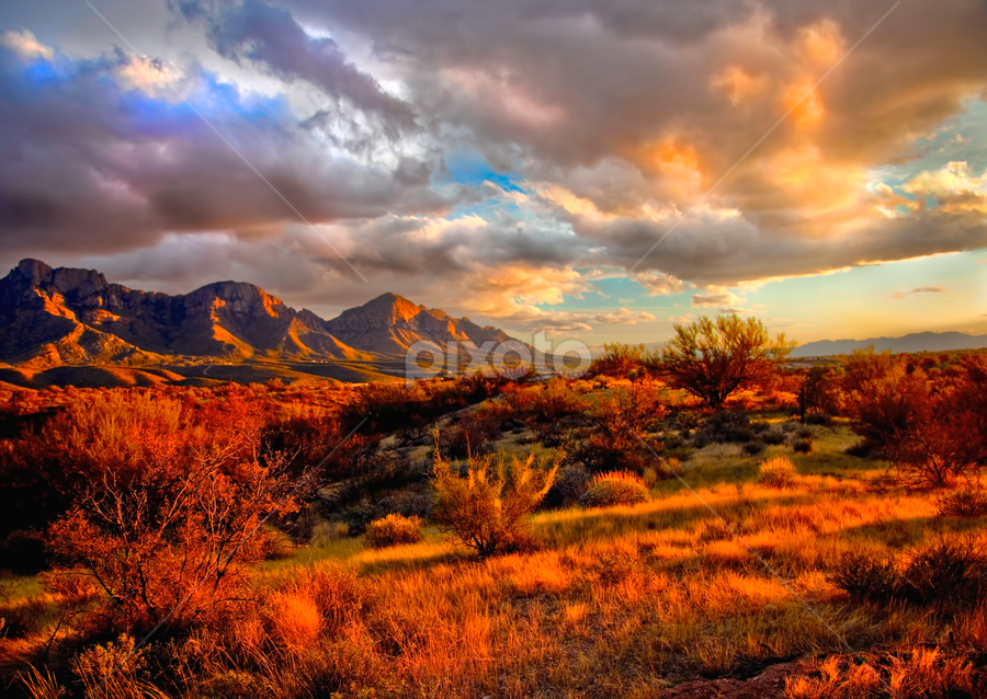 Catalina Shadows by Scott Taft - Landscapes Mountains & Hills