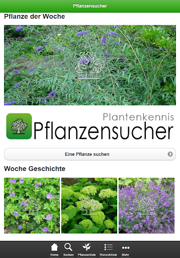 【免費書籍App】Pflanzensucher: Pflanzenfinder-APP點子