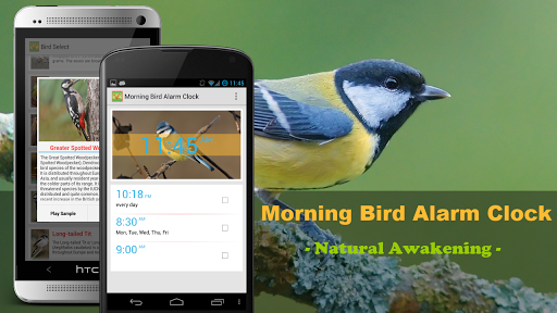 Bird Quiz Alarm Clock Premium