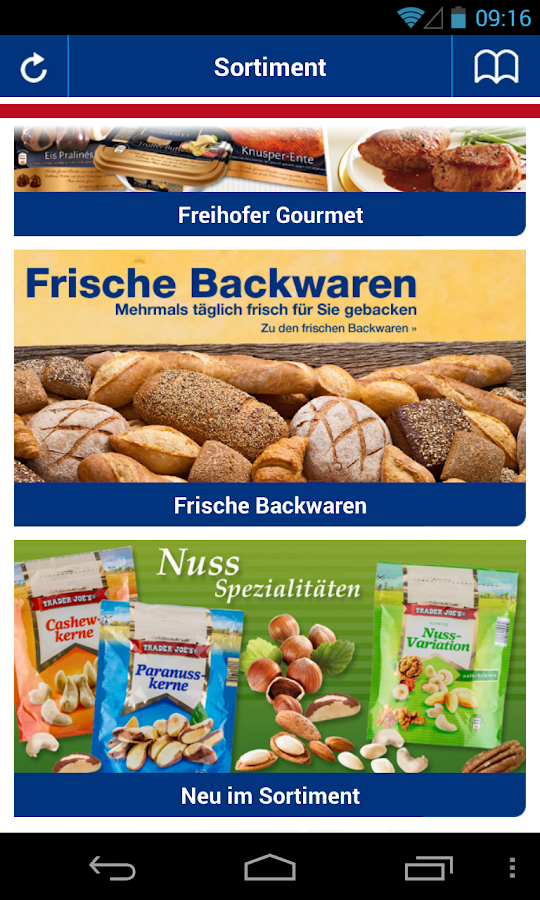 lawn led lighting sun