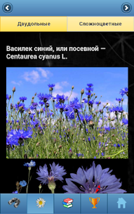 Lastest EcoGuide: Russian Wild Flowers APK for Android