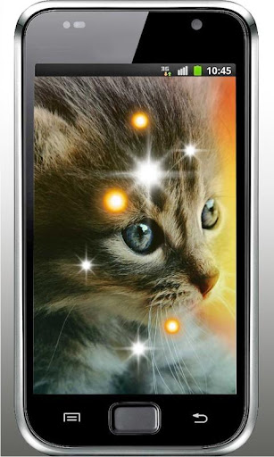 Pet Kittens HD Live Wallpaper