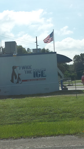 Twice The Ice Wall Mural