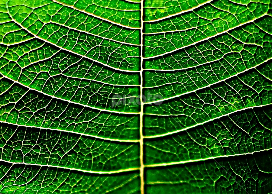 Roads!!! by Prosenjit Das - Abstract Macro