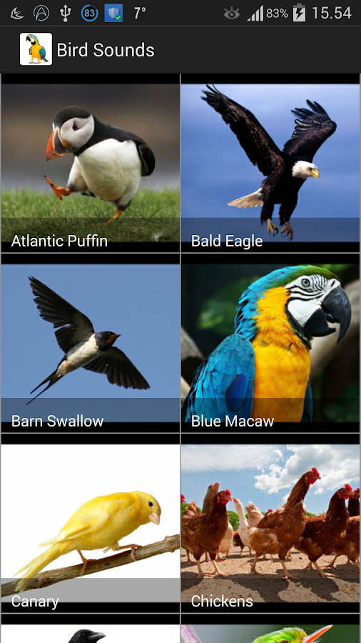 Birds Nature Sounds Mp3 Free Download - keywordsbravo's blog
