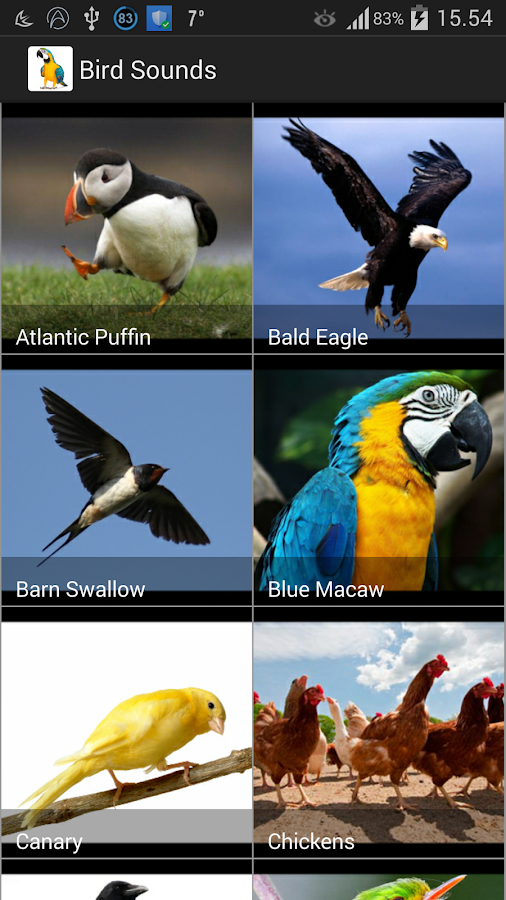 Bird Sounds - Android Apps on Google Play