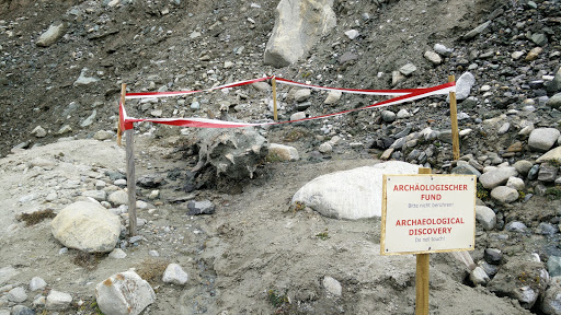 Baumstamm im Gletscher Grossglockner 