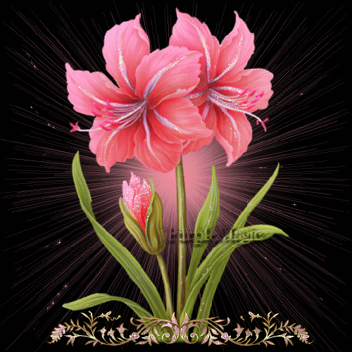 7j67jkxp7.gif