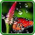 Rain Live Wallpaper1.0.7