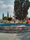 Fuente Jardín Centro Tlauhuelilpan