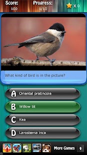 Bird Species Quiz HD Screenshots 8