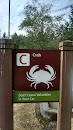 C Is For Crab