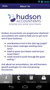 Hudson Accountants - náhled