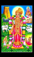 Tirupavai APK Download for Android